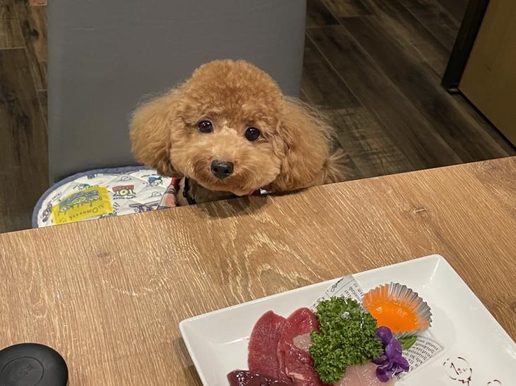 最近は